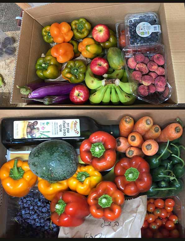 ארגזי משלוחי ירקות ופירות אורגניים